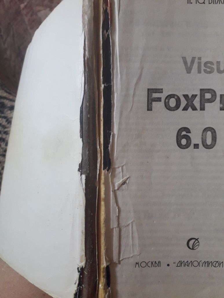 Книга Visual FoxPro 6.0