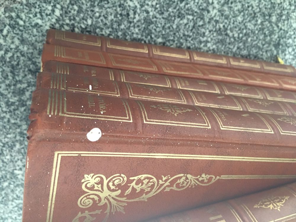 Conjunto Biblías e edições religiosas de coleção