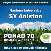 Kukurydza SY Aniston F1, C1, opak. 50 tys.n. | dlaroslin.pl