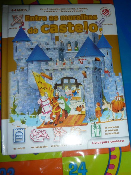 Entre As Muralhas do Castelo de Carlos Alberto Michelini