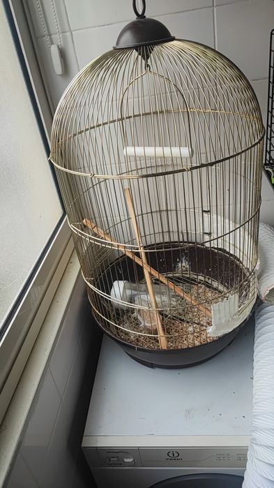 gaiola e pássaros troqueias