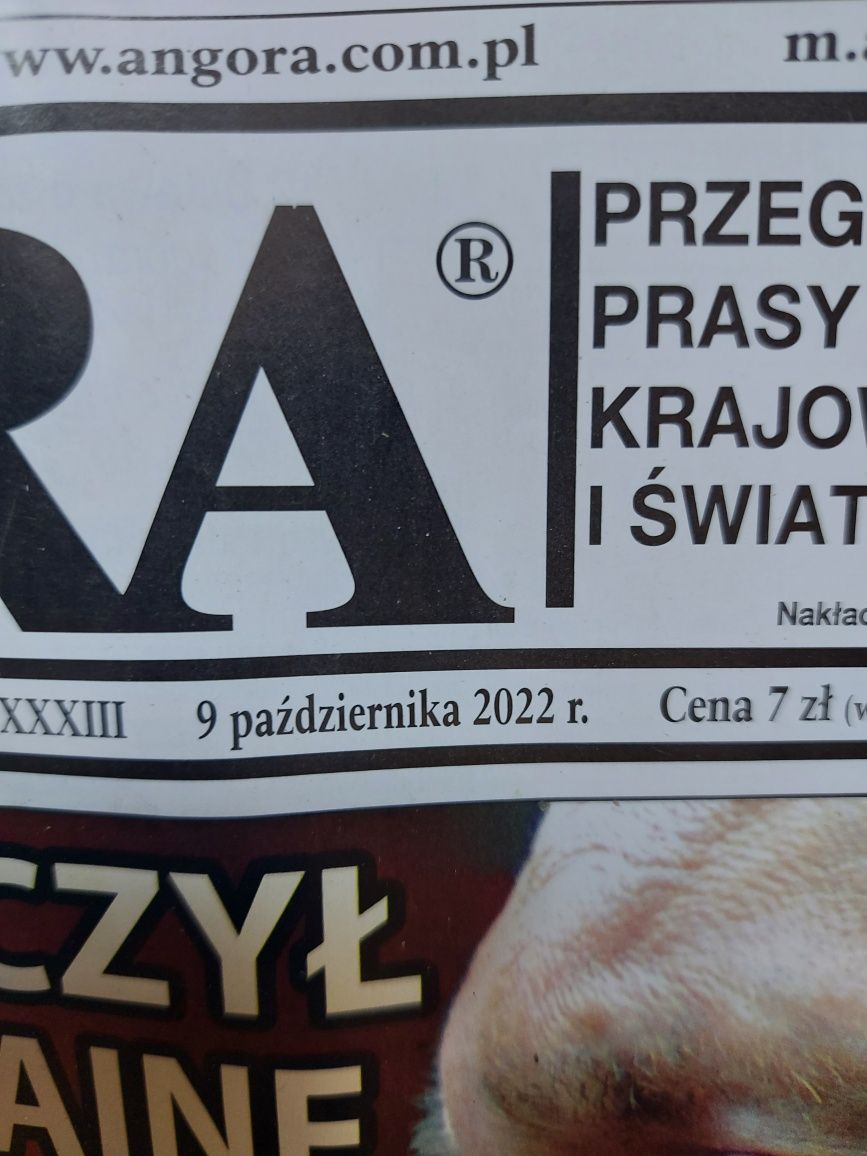 Gazety ANGORA 4sztuki 2022r/2023r