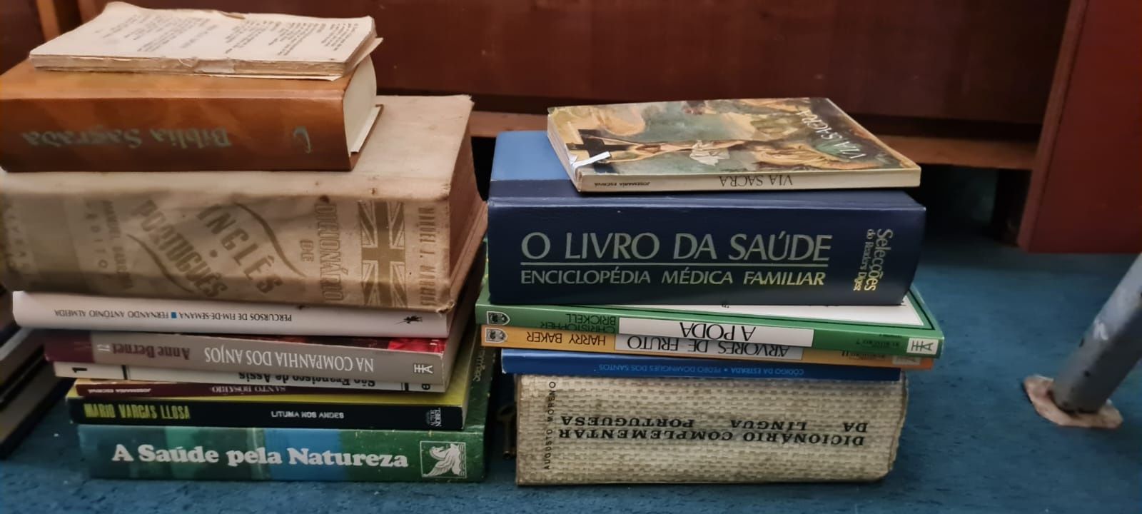 Enciclopédias e vários livros
