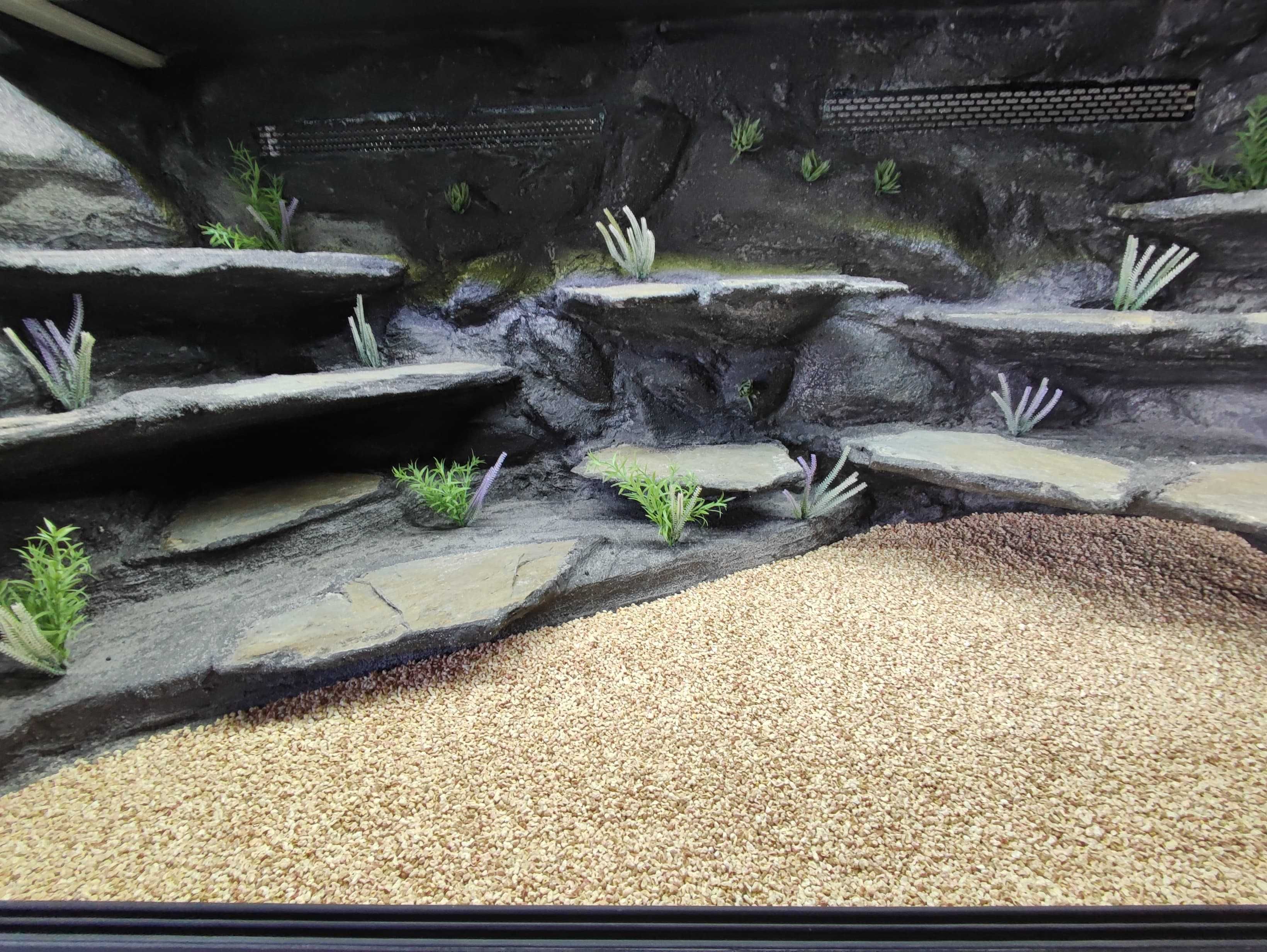 Terrarium pustynne nr714 150/70/70 +szafka dla agamy brodatej DOSTĘPNE