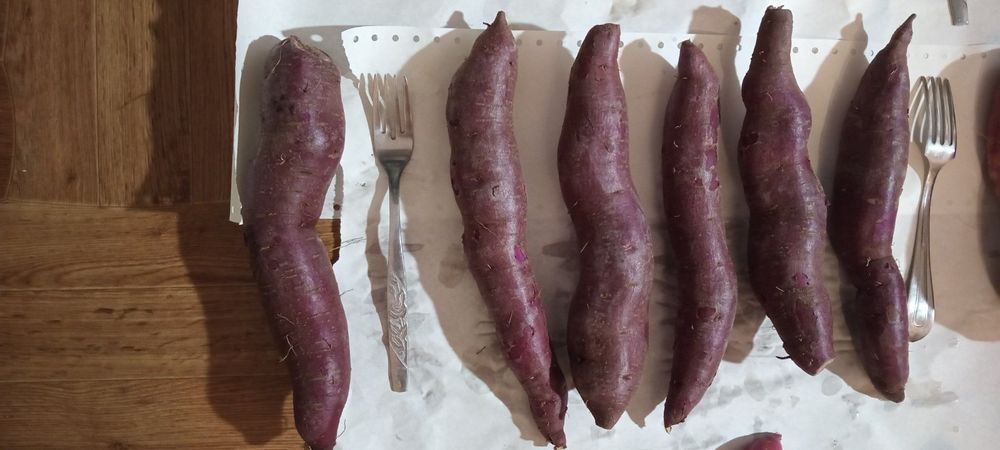 Батат солодка картопля