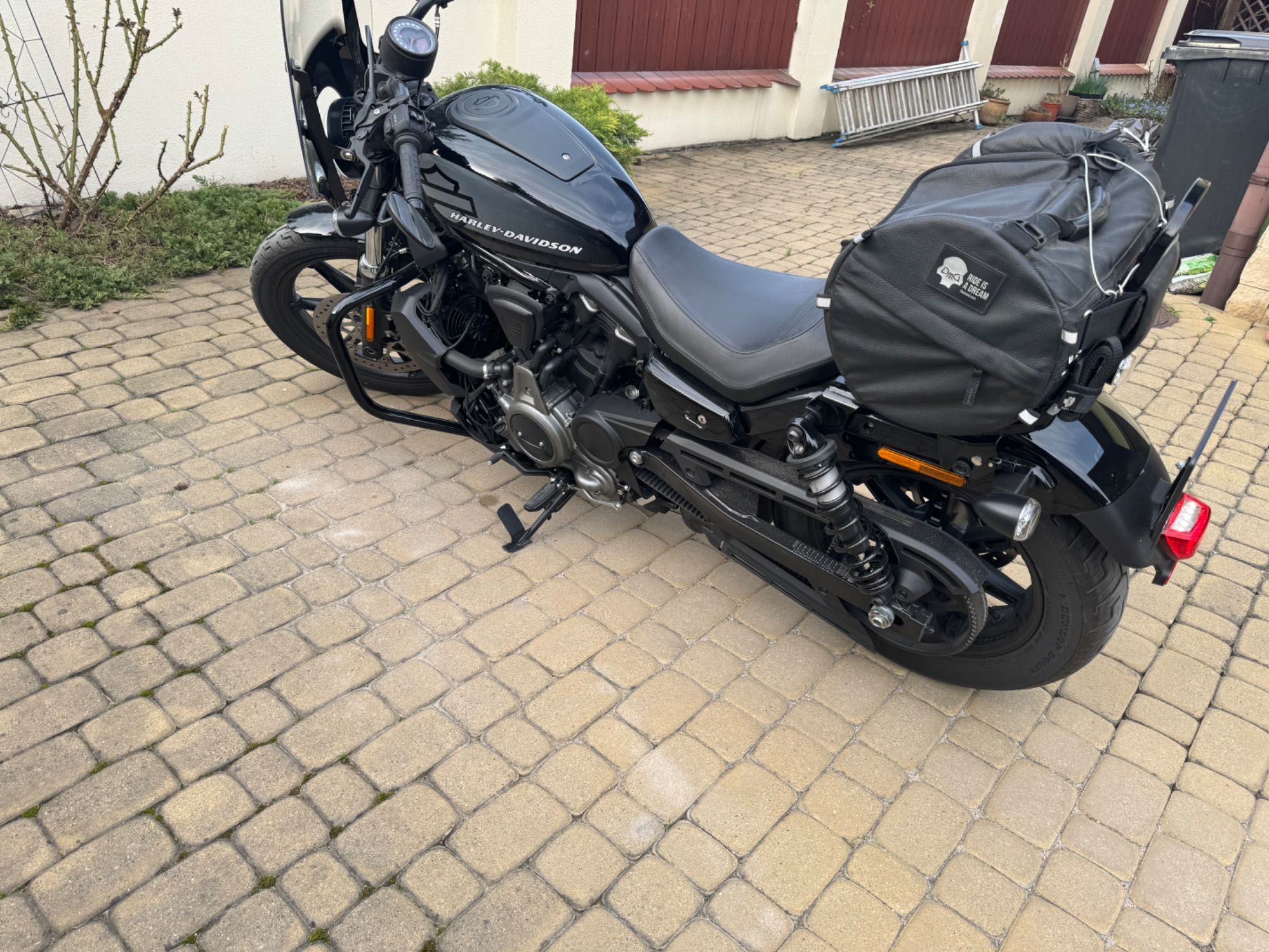 Harley Davidson Sportster Nighster 2022 kupiony w Polsce