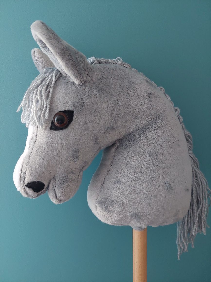 Konik Hobby horse