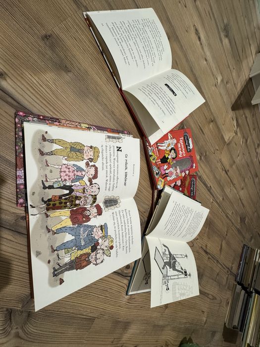 Seria ksiazek Biuro Detektywistyczne Lassego i Mai