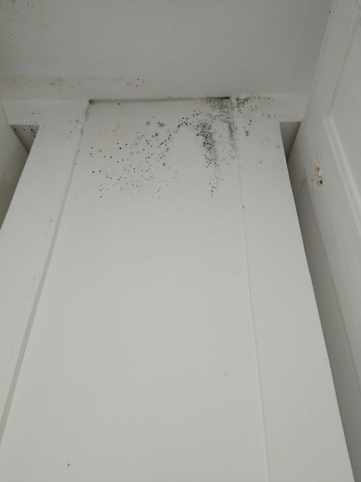 Reparações pinturas