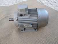 Motor ZP Trifásico 4 cv NOVO