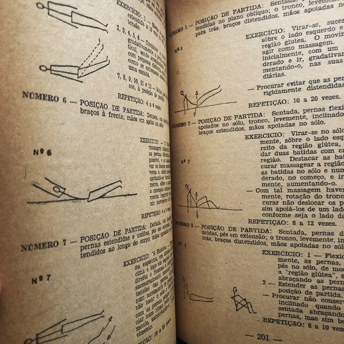 GINÁSTICA FEMININA Planos de Demonstração (1956) Stella F. M. Guérios