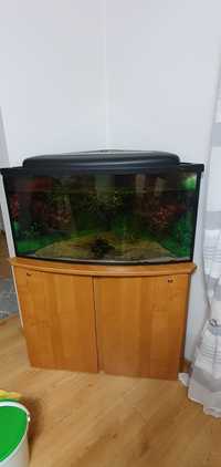 Akwarium narożne 180l, szafka, filtr, pokrywa z oświetleniem