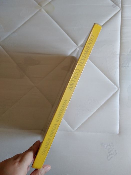 Grande Bíblia Ilustrada Antigo Testamento Verbo Juvenil