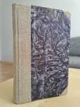 1830 rok. Homilie Niedzielne X. Konrada Kawalewskiego. Rok V