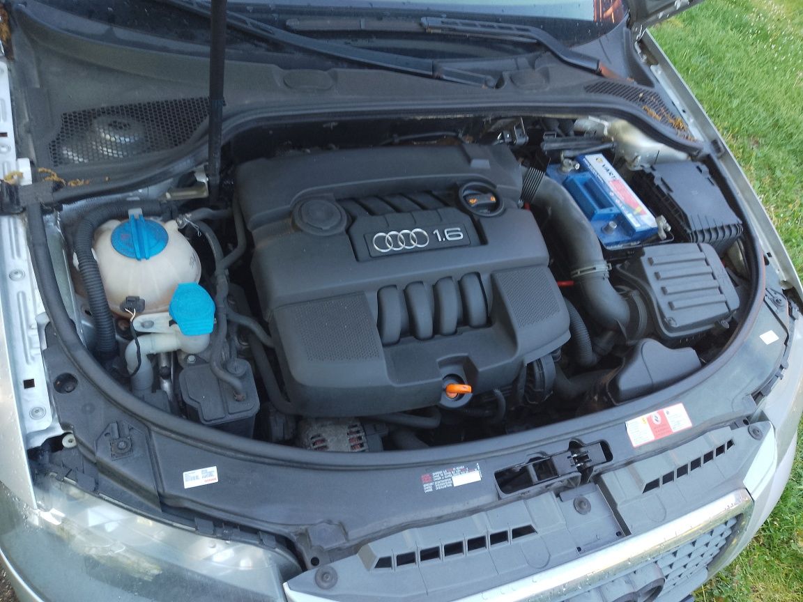 Audi a3 Ly7w błotnik prawy 1.6 mpi chłodnice silnik BSE