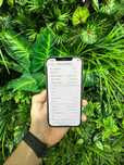 Магазин: Mr.Чохлів - Iphone 12 Pro Max 80%/128Gb