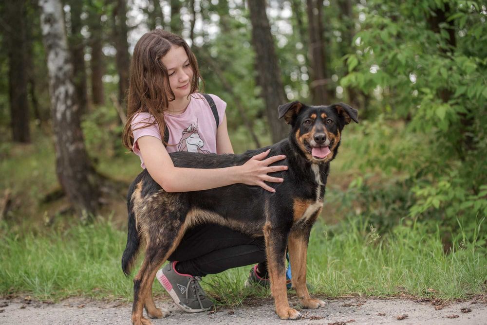 Cudna Ida - wspaniała sunia dla rodziny do adopcji