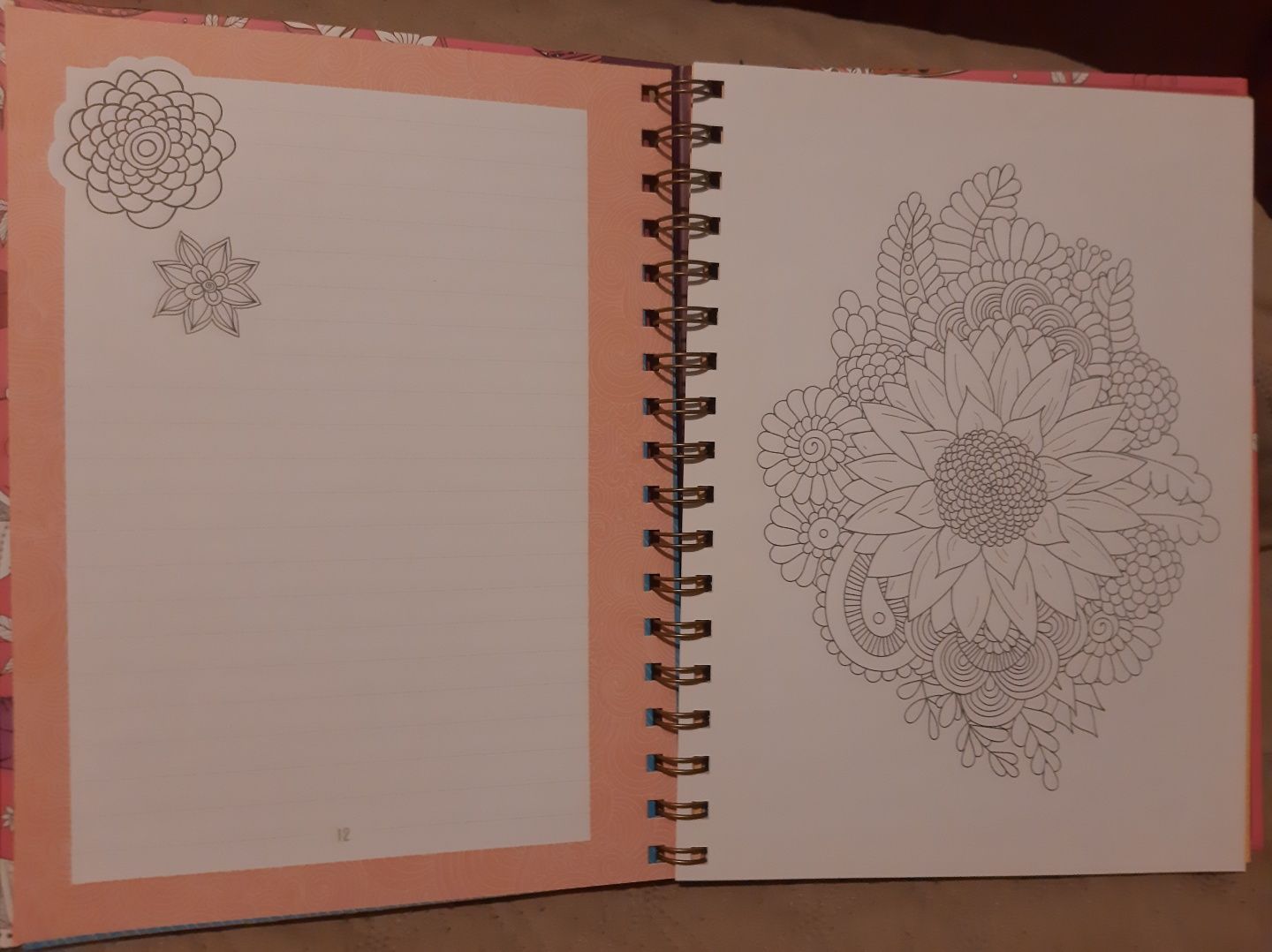 Caderno linhas com imagens