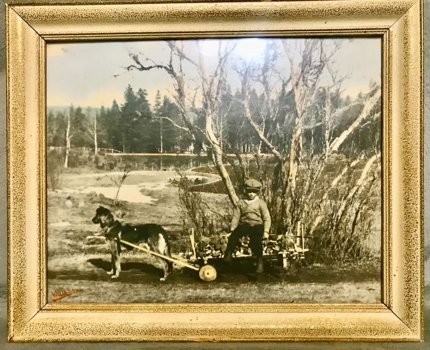 Fotografia/Fotochrom - unikatowa sygn. fotografia barwna z 1914 roku