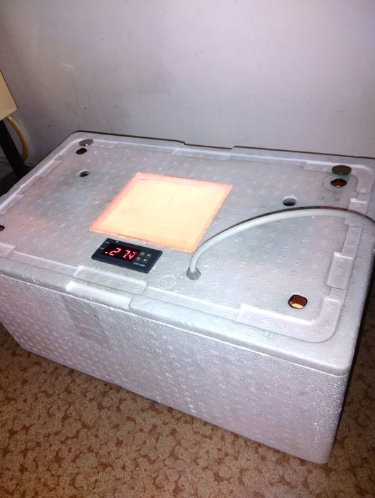 Міні інкубатор цифровий.