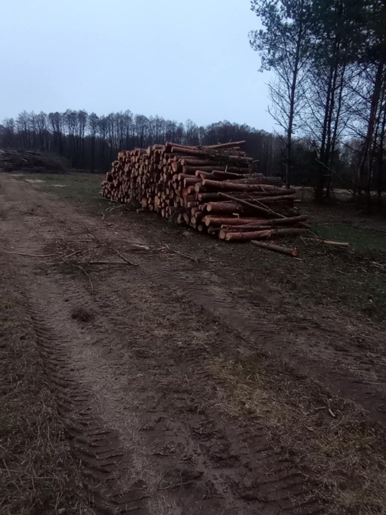 Drewno w wałkach