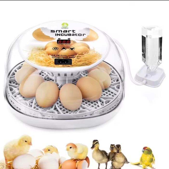 Incubadora Automática / Chocadeira 12 ovos