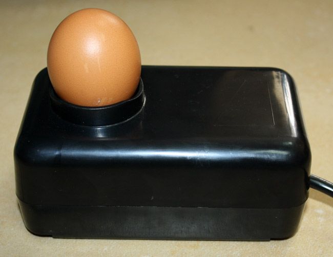 Prześwietlarka OWOSKOP tester jaj zarodków ptaków