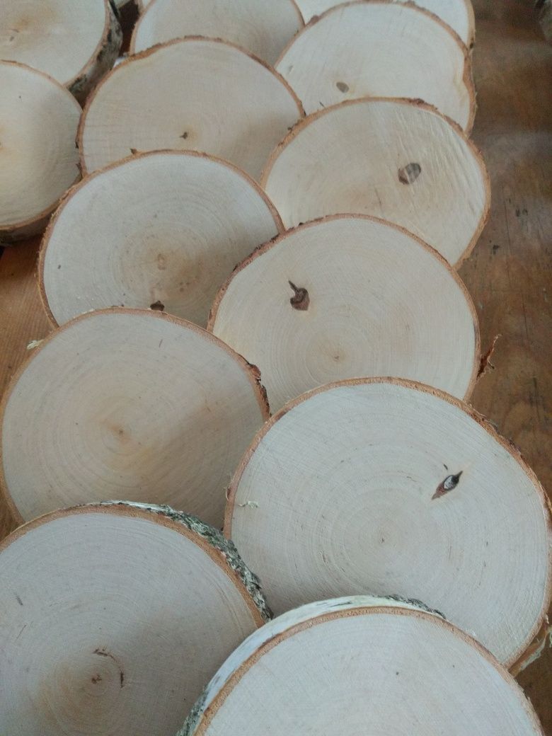 Plastry drewna brzozowego krążki brzozy ok 14 cm