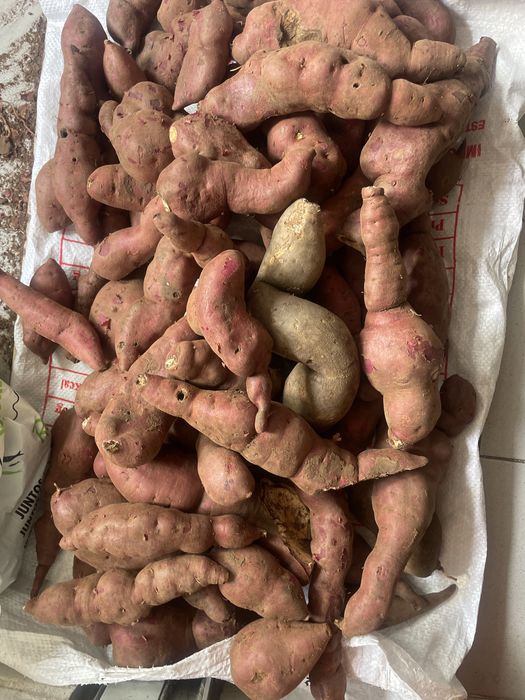 Batatas doces ao kg