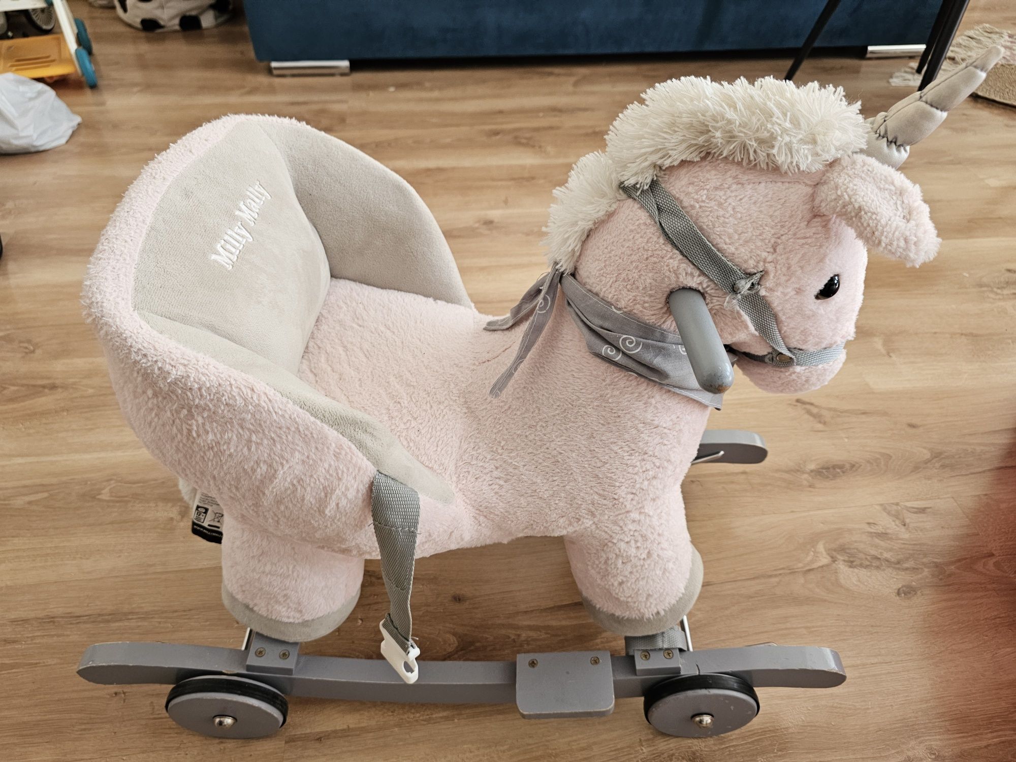 Konik na biegunach