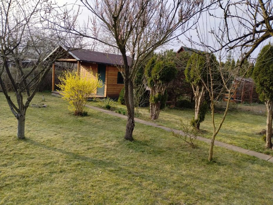 Altana ogrodowa wraz z wyposażeniem działki.