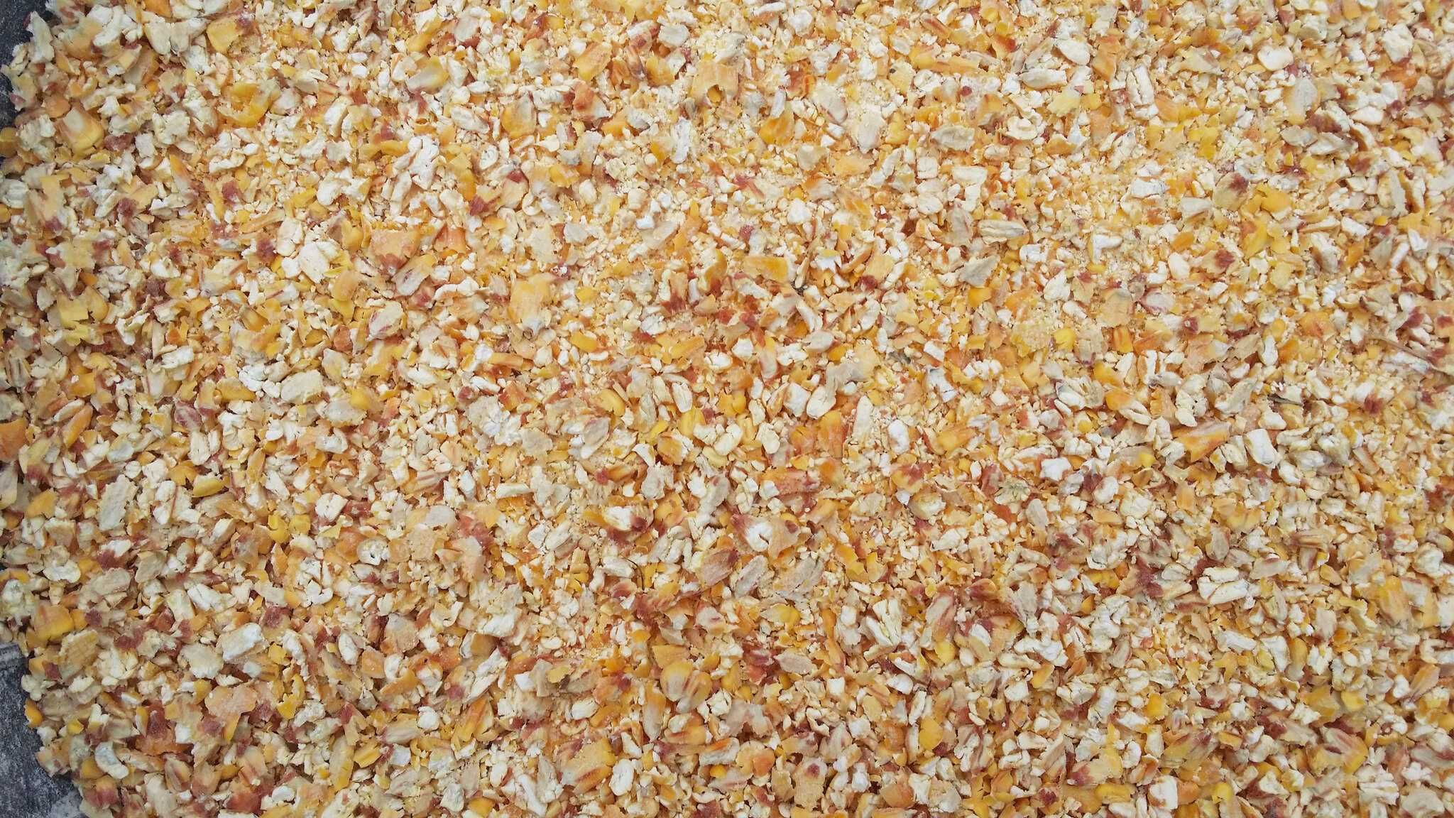 Pasza dla kur niosek 25 kg naturalna darmowa wysyłka