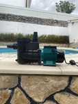 Bomba centrífoga de piscina