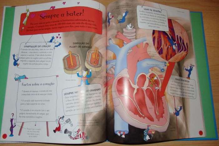 Os geniozinhos...Corpo Humano