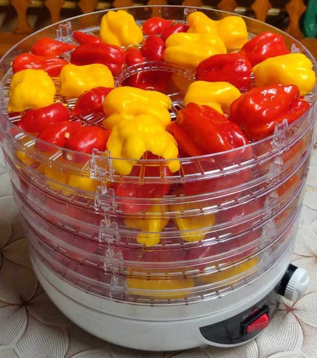 Suszona Carolina Reaper, habanero, apocalypse scorpion chocolate
