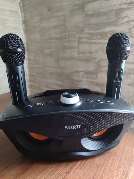 Портативна блютуз колонка, з караоке системою