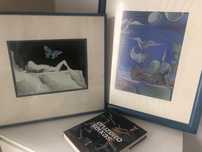 Pinturas de Cruzeiro Seixas - Oferta livro