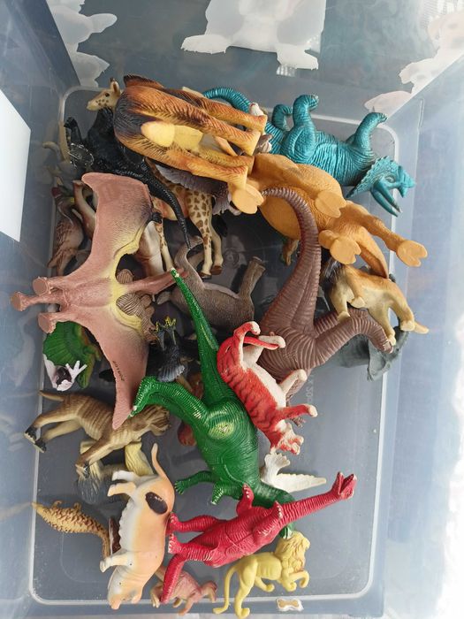 Zwierzątka domowe, dzikie , dinozaury, ptaki