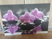 Obraz lilie storczyki oleandry duży 105x70