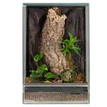 Terrarium szklane tropikalne