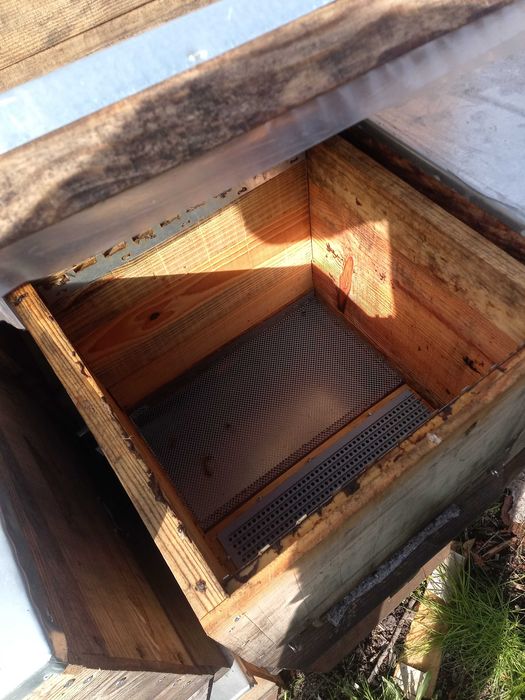 Colmeias com enxames eutros equipamentes