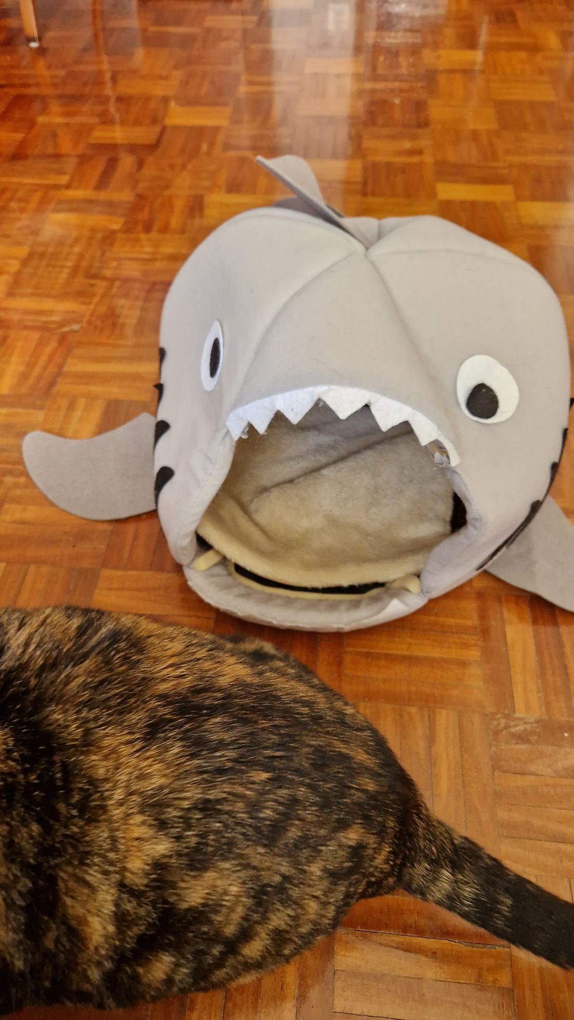 Cama de gato ou cão peixe tubarão