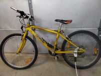 Rower TAIFUN 24 cale