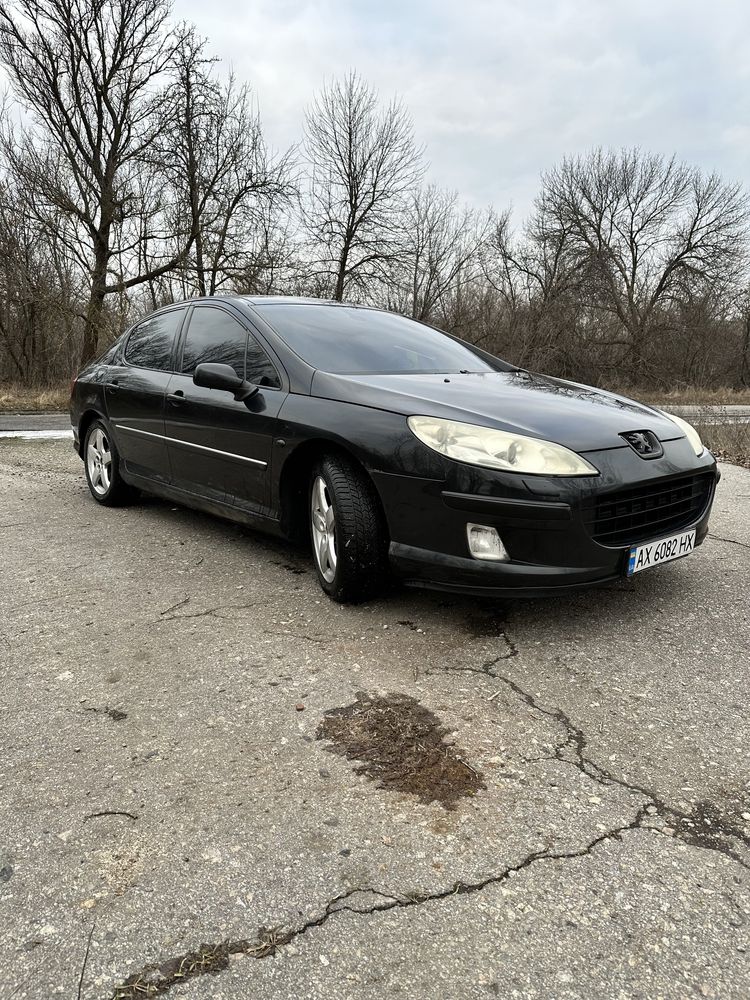 Peugeot 407 2005 Максимальна комплектація