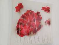 Quadros com pintura
