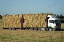Sprzedam sucha slome TRANSPORT