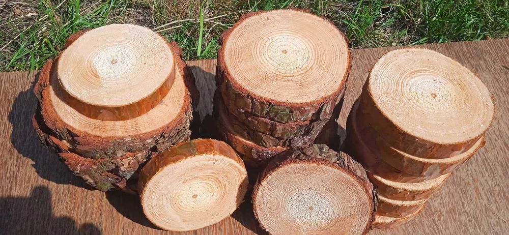 Plastry drewna, 20sztuk, 14-17cm, krążki drewniane, dekoracje, wysyłka