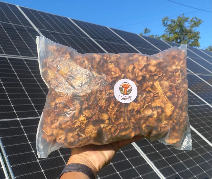 Сушені лисички 500 г