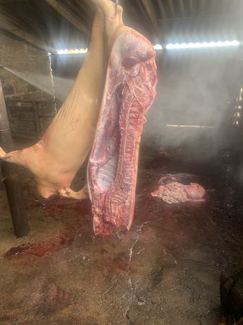 Мясо домашней свинины 125 грн