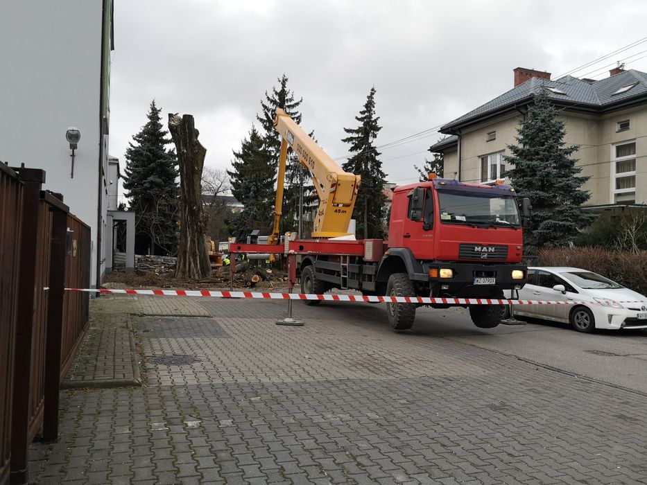 Wycinka drzew usuwanie karp wywóz karp czyszczenie działek